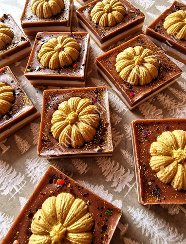 Spiced Pumpkin Coffee Wax Melt Mini Slab