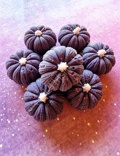 Witches Brew Soy Wax Melt Pumpkin