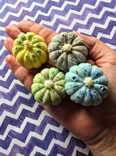 Fresh/Clean Pumpkin Pack. 4 Scents Included.