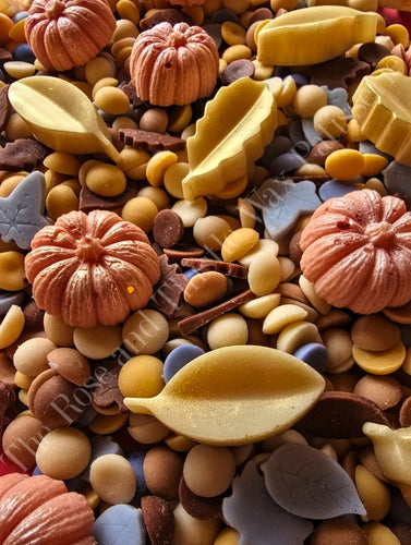 Gooey Coconut Pumpkins Soy Wax Melt Mixed Mini Shapes Bag